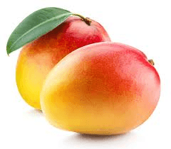Haden Mangoes - Smooth and Juicy