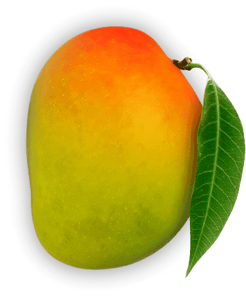 Sabin Mangoes - Sweet and Nutritious
