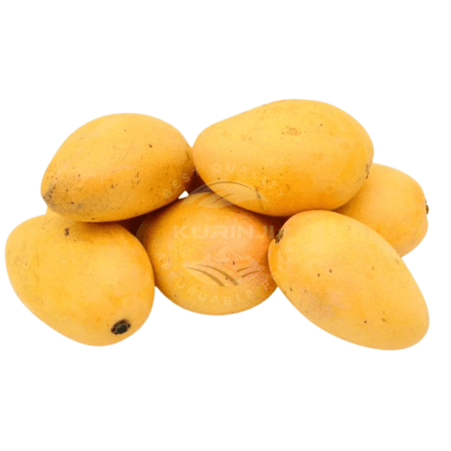 Dodo Mangoes - Freshness in Every Bite